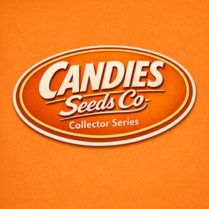 Banana Jelly — Ice Cream Cake · Collector Series · VOL.1